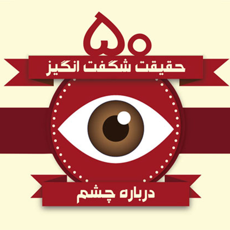 You are currently viewing ۵۰ حقیقت شگفت انگیز درباره چشم – اینفوگرافیک