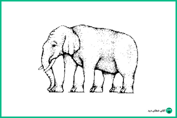 فیل چند پا دارد؟