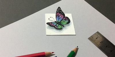 نقاشی سه بعدی پروانه کوچک