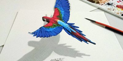 نقاشی سه بعدی طوطی