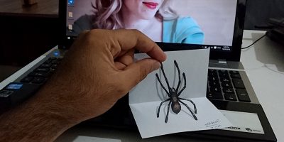 نقاشی سه بعدی عنکبوت