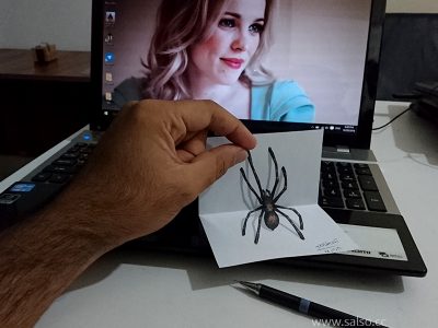 نقاشی سه بعدی عنکبوت