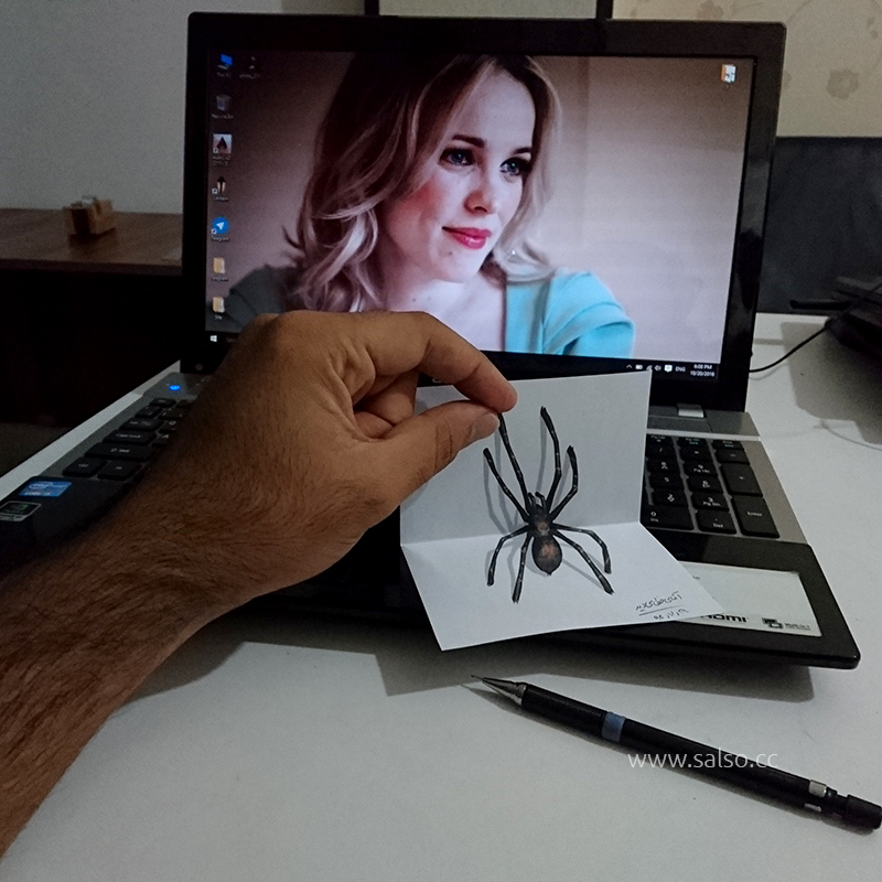 You are currently viewing نقاشی سه بعدی عنکبوت